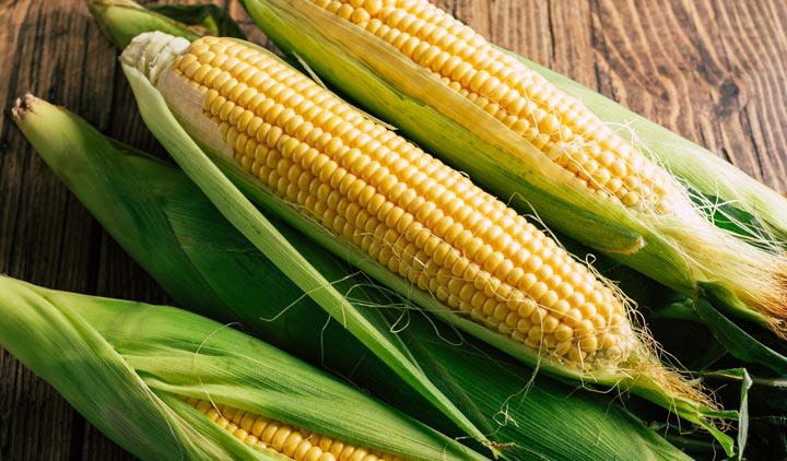 一部植物性由来（トウモロコシ）の材料を裏基布に使用